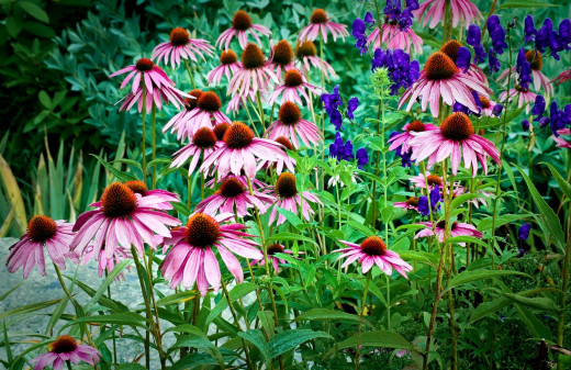618720 (a): :2000x1295